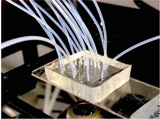 Automated Bio-Control